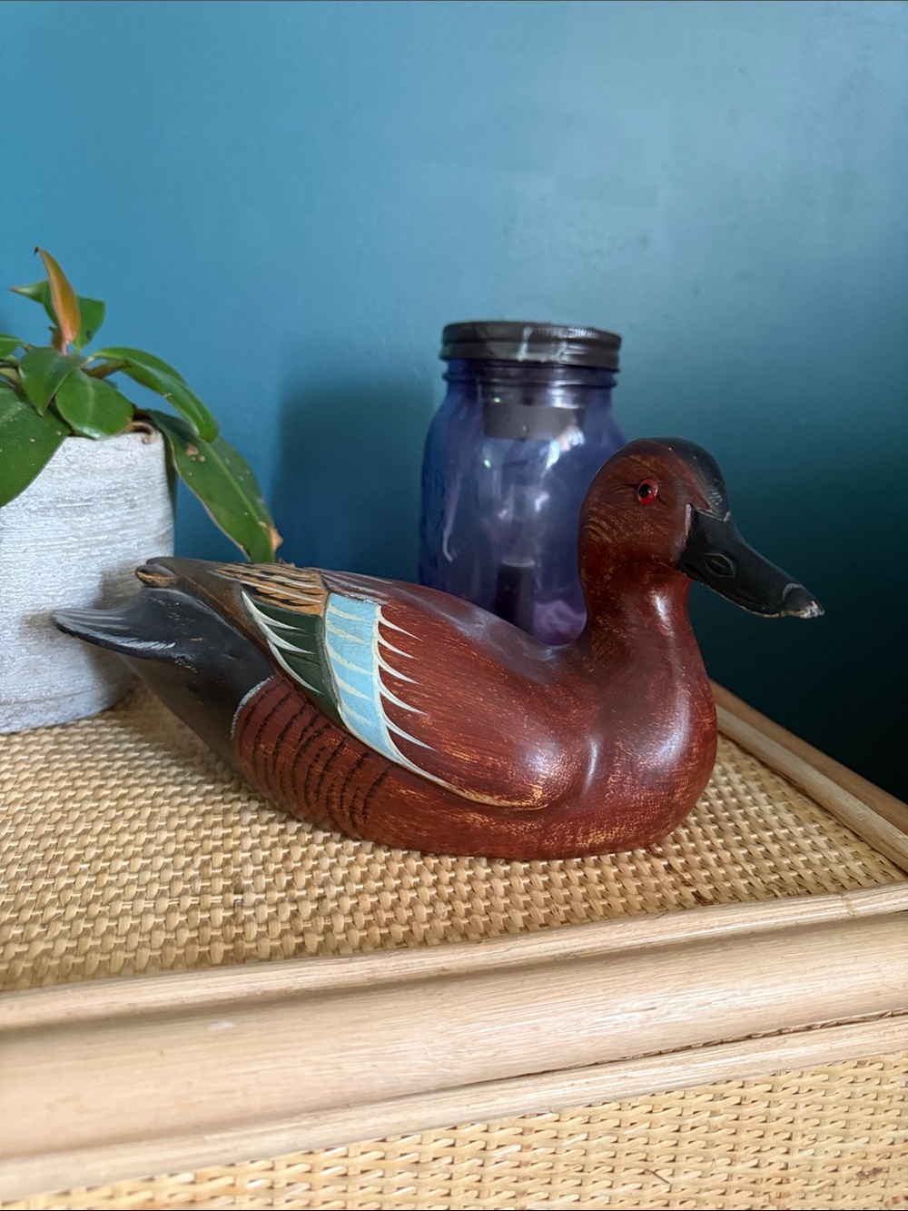 Cinnamon Teal Ducks Unlimited duck